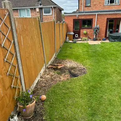 J and Son Trees and Landscapes
