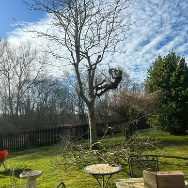 J and Son Trees and Landscapes
