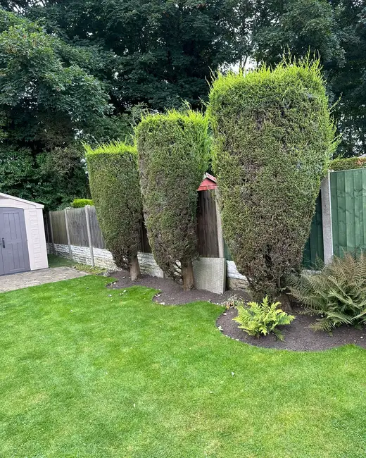 J and Son Trees and Landscapes