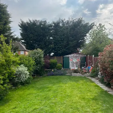 J and Son Trees and Landscapes