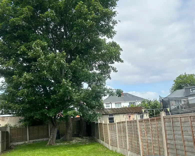 J and Son Trees and Landscapes